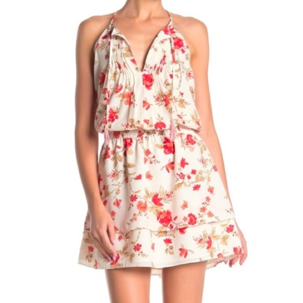 NWT Joie floral dress